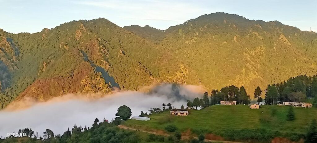Scenic resort pathways at Mount Vista Resort surrounded by greenery